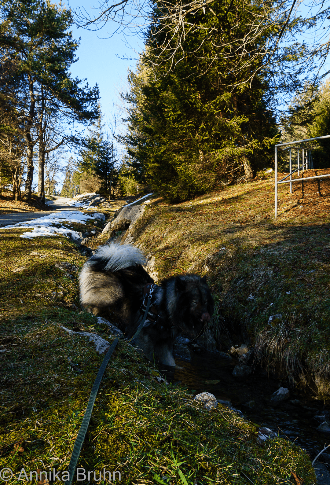 Mh lecker, das frische Quellwasser